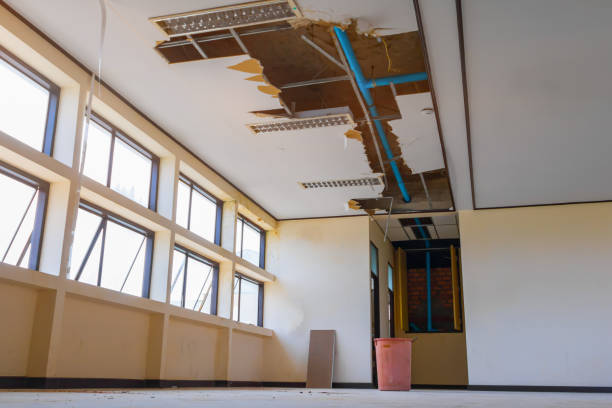 Best Carpet water damage restoration  in Boulder, MT