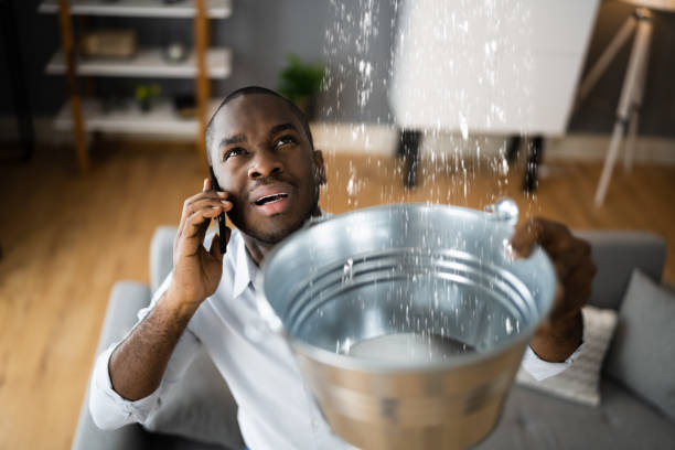 Best Basement water damage restoration  in Boulder, MT