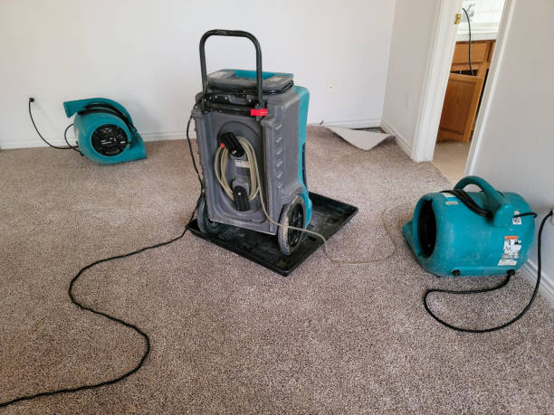 Best Mold removal after water damage  in Boulder, MT
