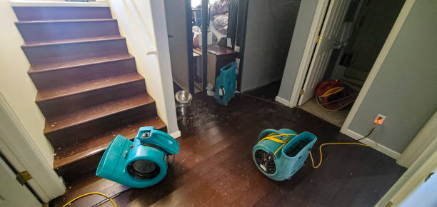 Best Mold removal after water damage  in Boulder, MT