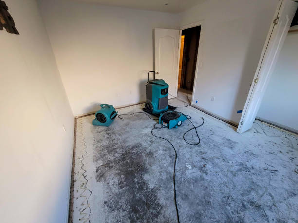 Best Water damage cleanup near me  in Boulder, MT