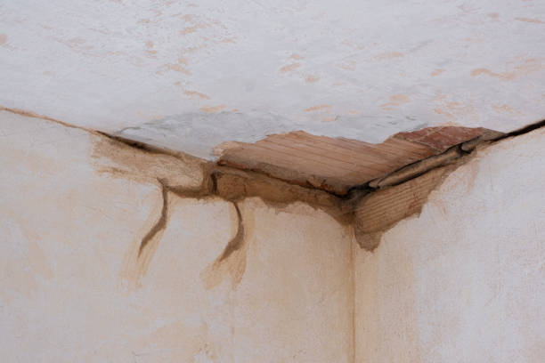 Best Ceiling water damage repair  in Boulder, MT