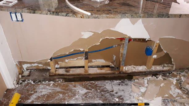 Best Basement water damage restoration  in Boulder, MT
