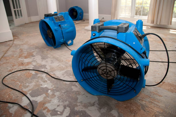 Local water damage restoration in MT