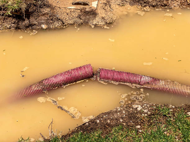 Best Commercial water damage restoration  in Boulder, MT