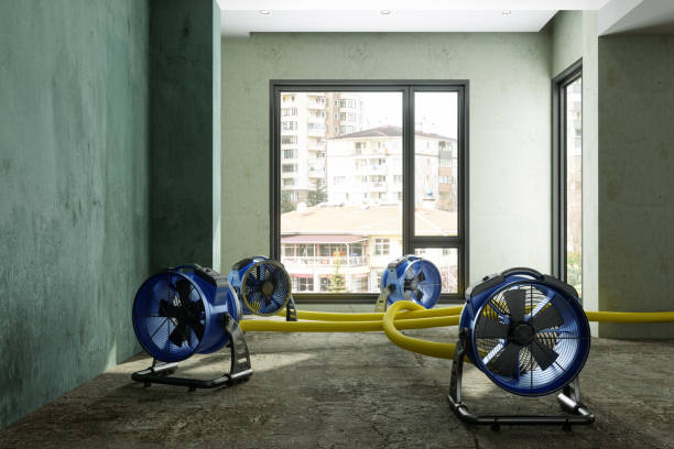 Sewage cleanup and water damage restoration in MT